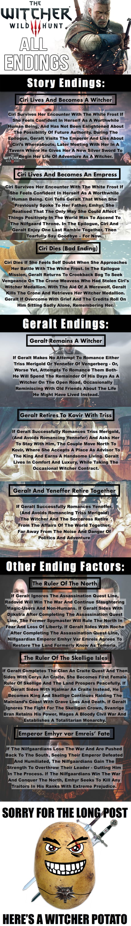 All the ending factors of The Witcher 3: Wild Hunt (Obvious spoilers) - 9GAG
