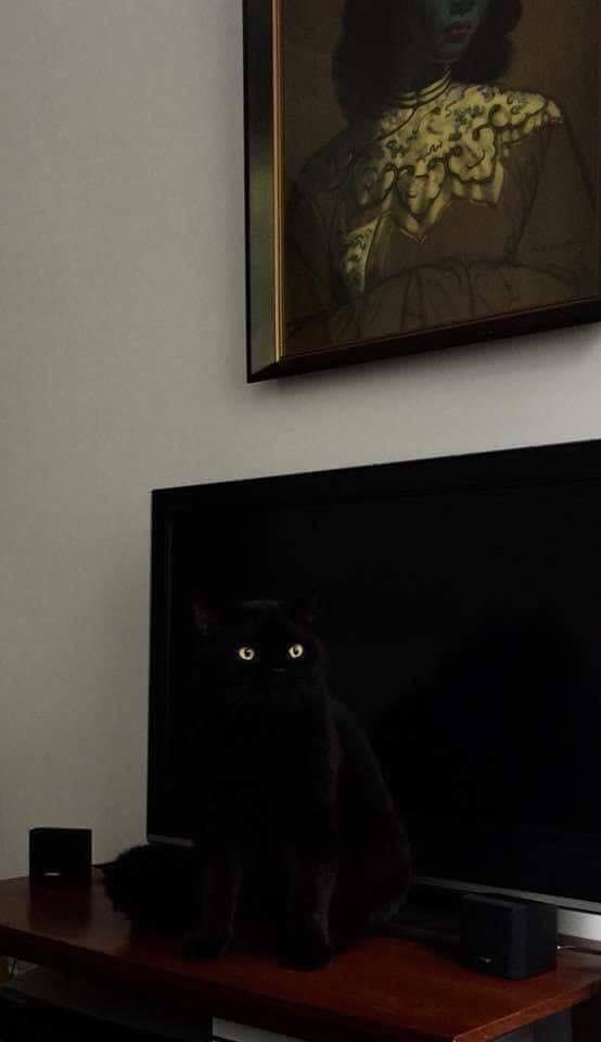 TV has eyes