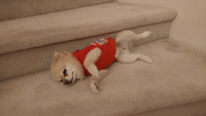 Came home and found her like this.
