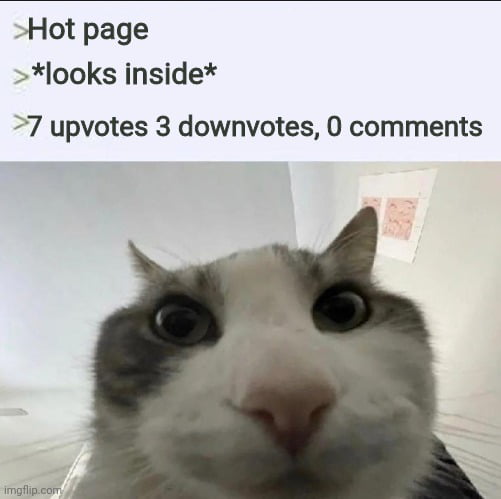 Your post is now featured on the trending page