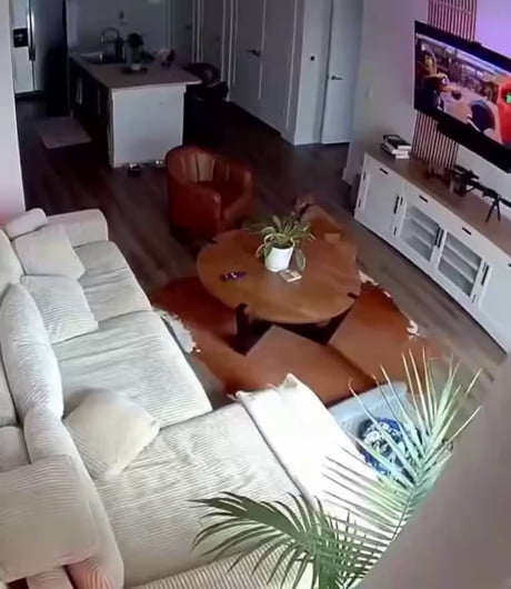 This cute dog is banned from the couch, so the moment its owner leaves the house it races straight onto it – but instantly drops to the floor the second it hears footsteps approaching