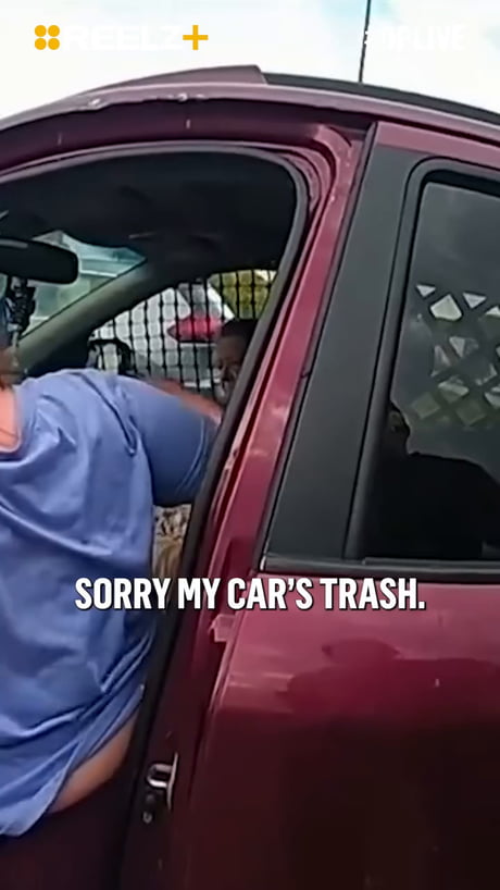 There's a raccoon in the front seat