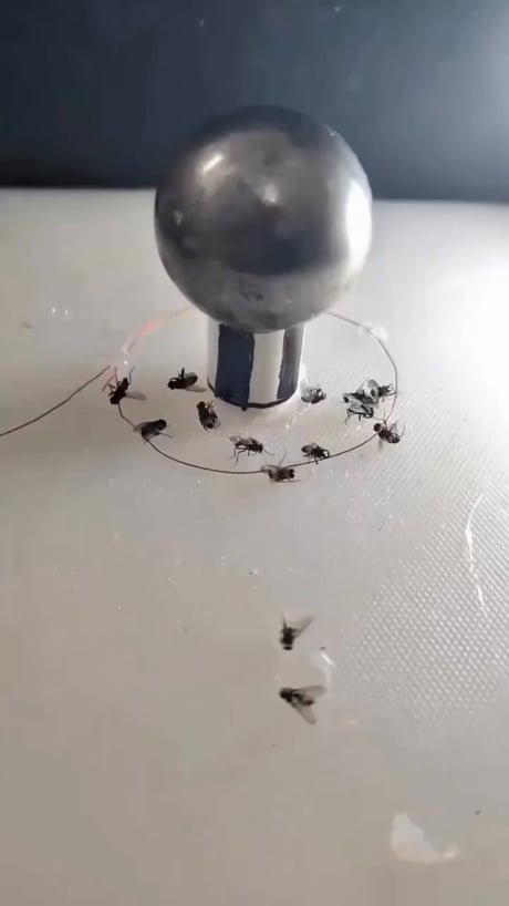 Tesla coil fly trap