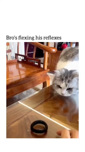 Flexing his reflexes