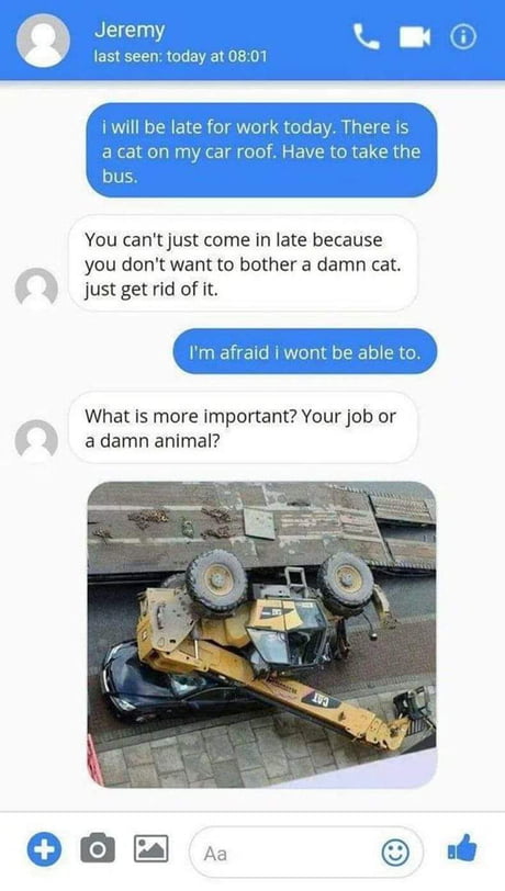 Cat On My Roof 9gag