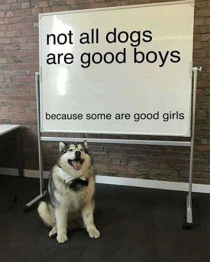 Good boys & good girls 9GAG