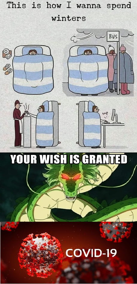 Your wish is granted