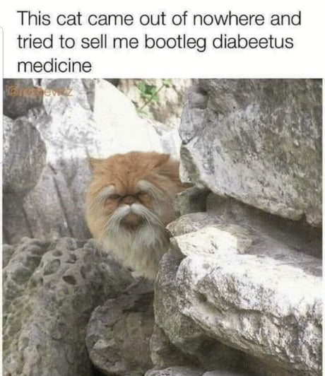 Khajiit has wares if you have coin