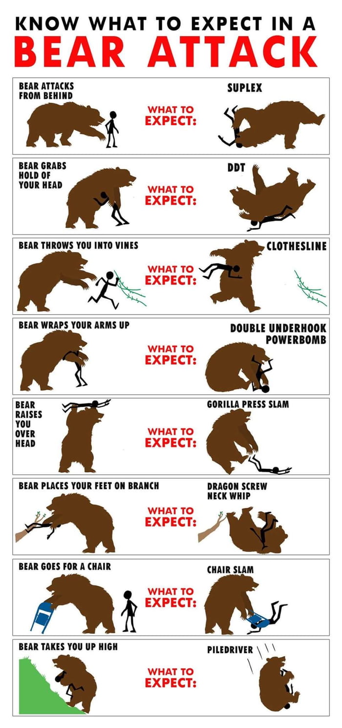 What to expect when a bear attacks 9GAG
