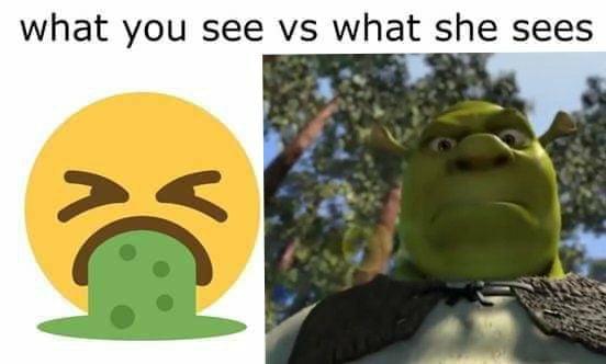 I’m sorry emoji police, but shrek is love - 9GAG