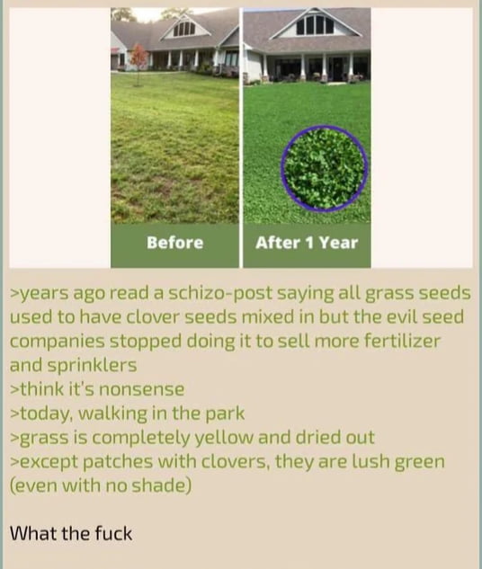 A field of clovers sounds delightful.