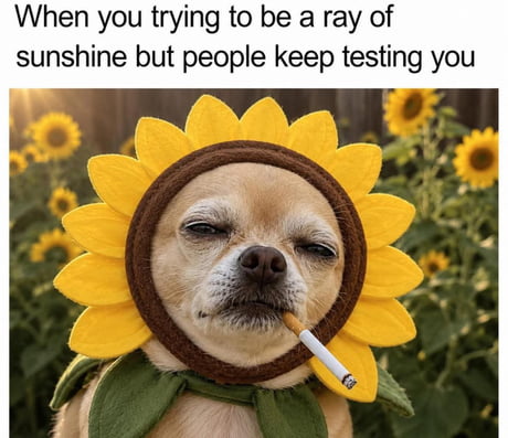 Best Funny cigarette Memes