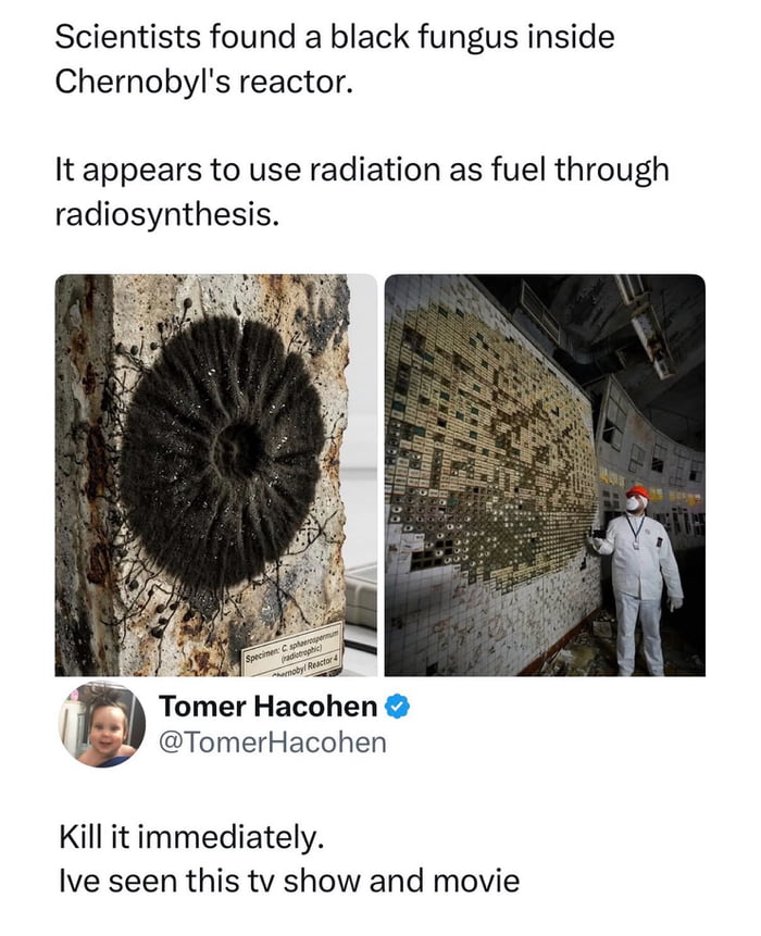 Starting to think nature is just trying to kill us now