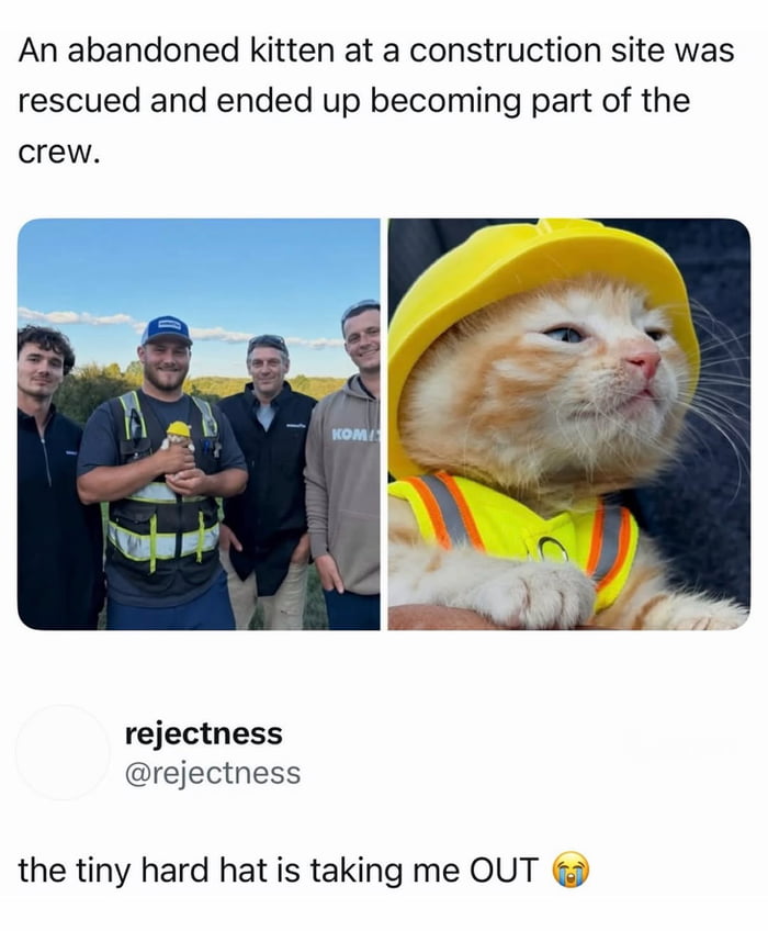 Newest member of the site safety committee