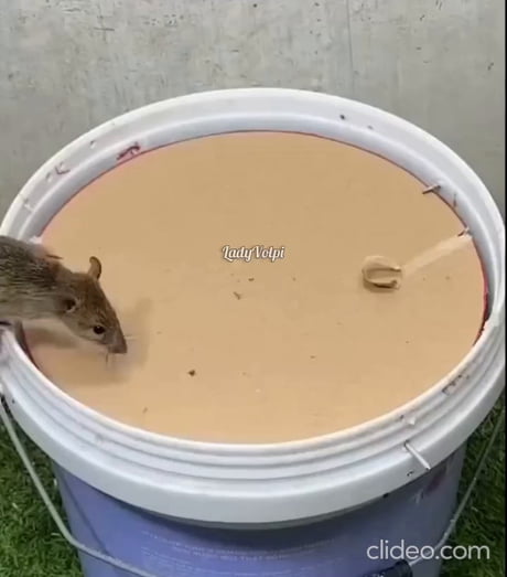 Strange, I remember HALF LIFE differently