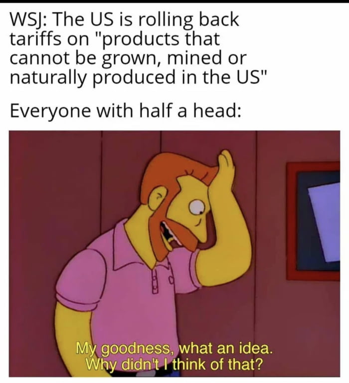 MAGA Einsteins