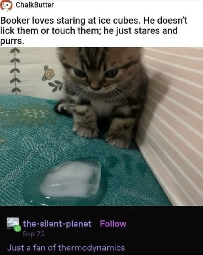 Interesting