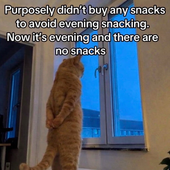 My diet plan always backfires like this