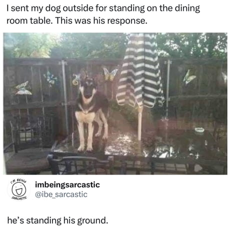Best Funny table Memes - 9GAG