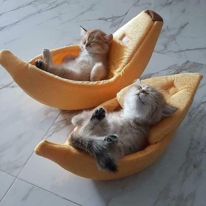 Just chilling