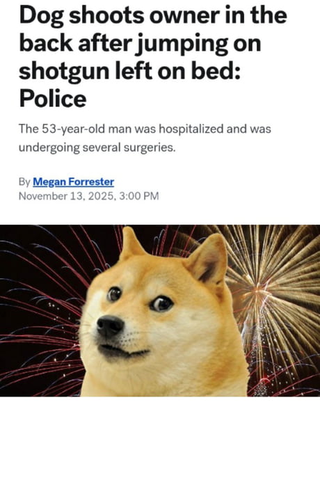 Doge 挑战者 Meme 迷因幣” 投資規律復盤報告: 狗狗Doge
