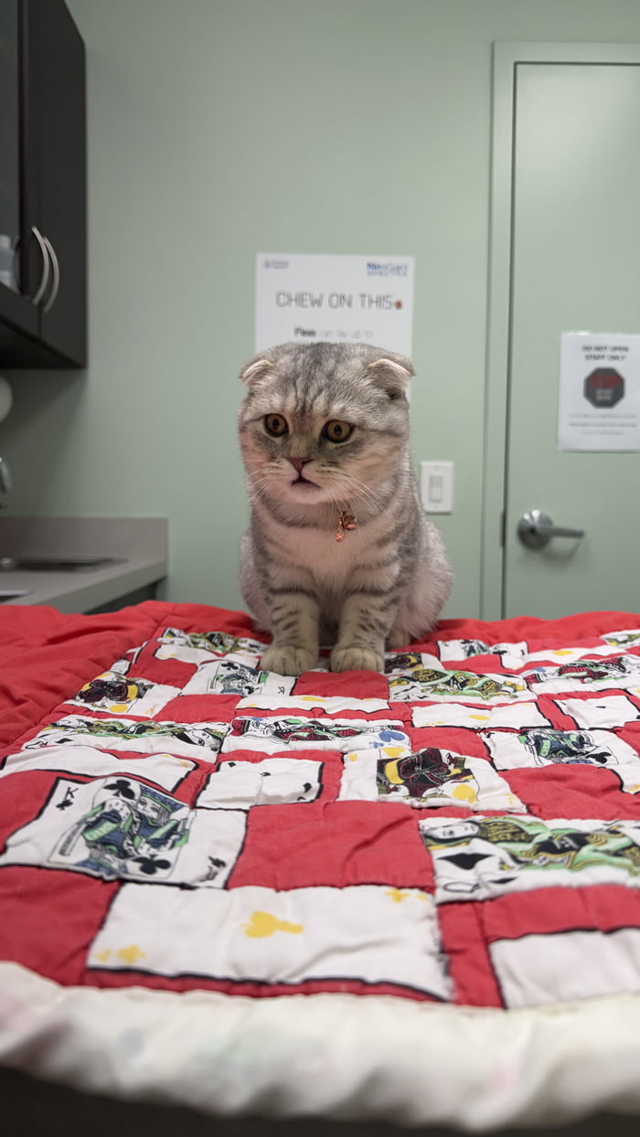 What did I just chew on:/