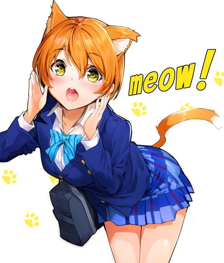 love live! cat girl icons ✨ like/rb/whatever? 1-3