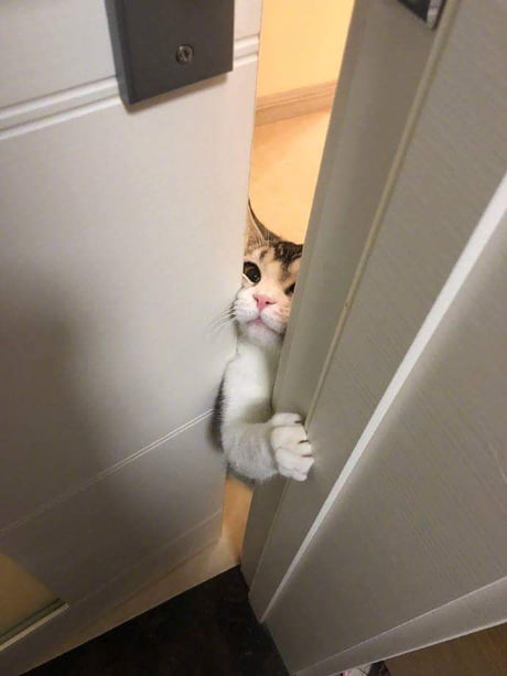 What are you doing