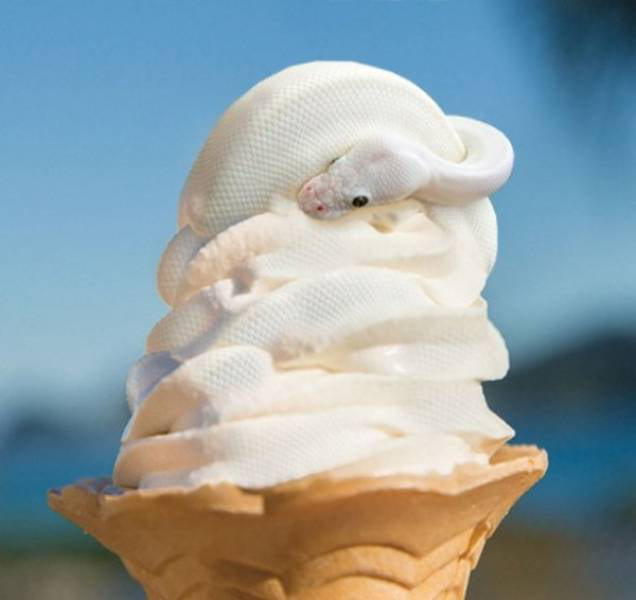 This Ice Cream Licks Back