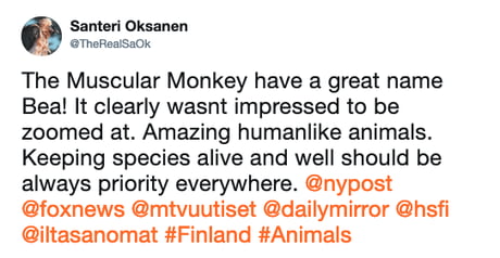 Insanely muscular monkey spotted in Finland