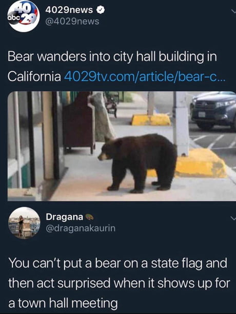 *bear pun*