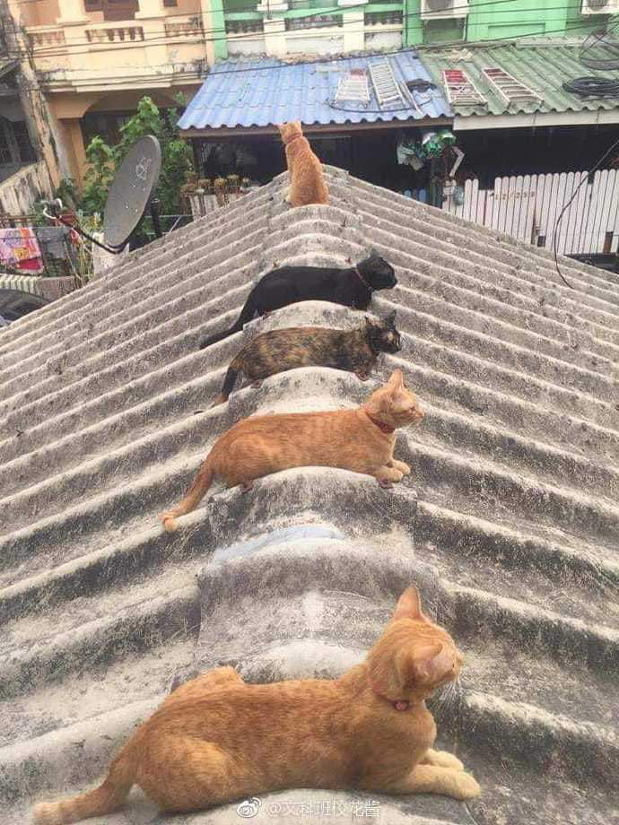 Sunbathing