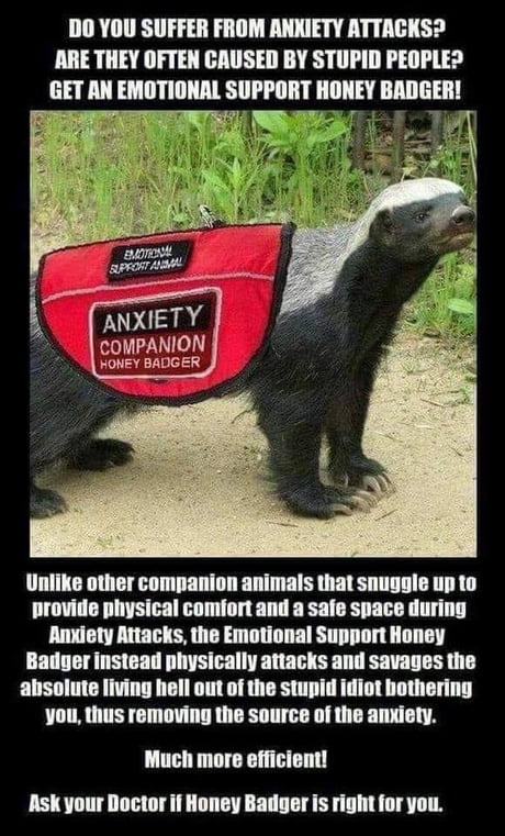 I&lsquo;d get one!