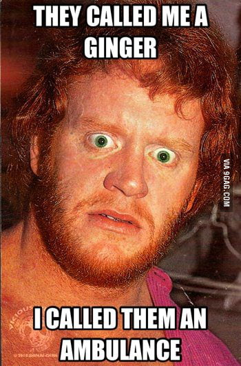 Soulless Ginger Soulless Ginger Memes Amazon.com: Funny Redhead Facts Soulless Ginger