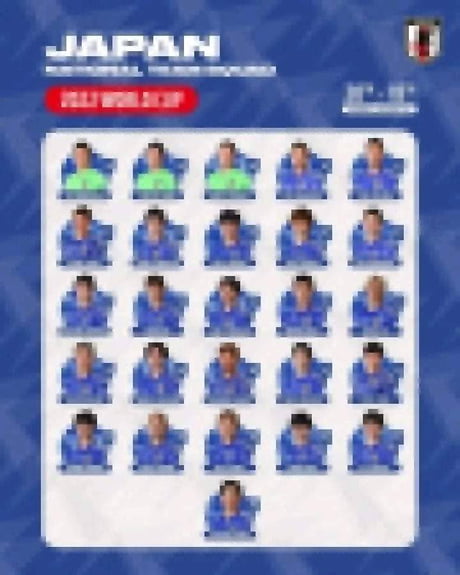 Japan world cup squad.