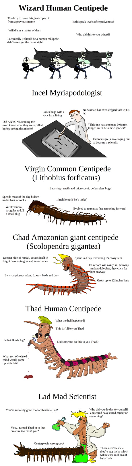 The Virgin Vs Chad Meme Is Taking Over the Entire Internet