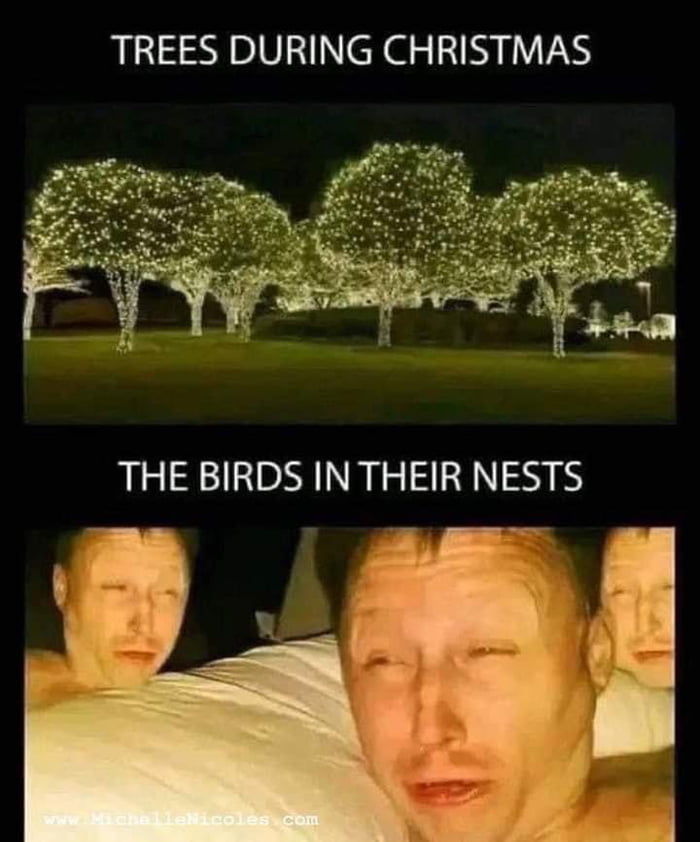 Or squirrels