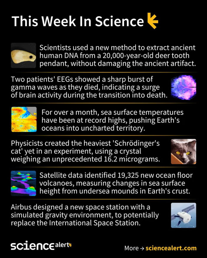 Weekly science by science alert 9GAG