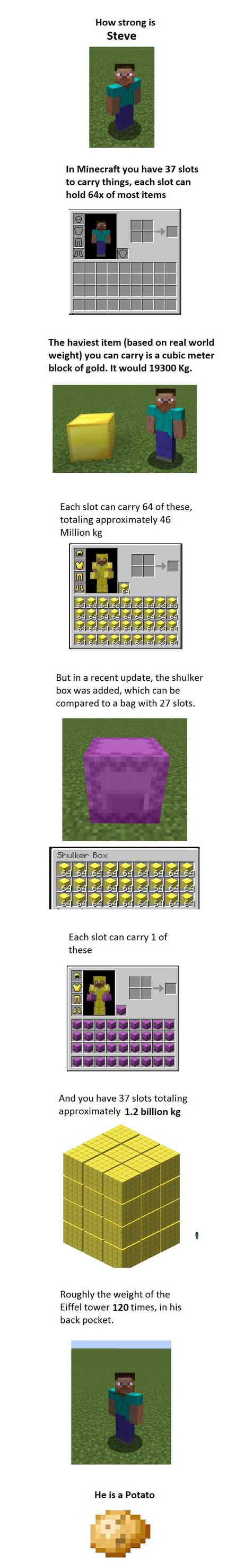 How Much Weight Can Minecraft Steve Carry? 