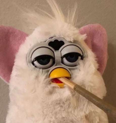 Stoned Furby 9GAG