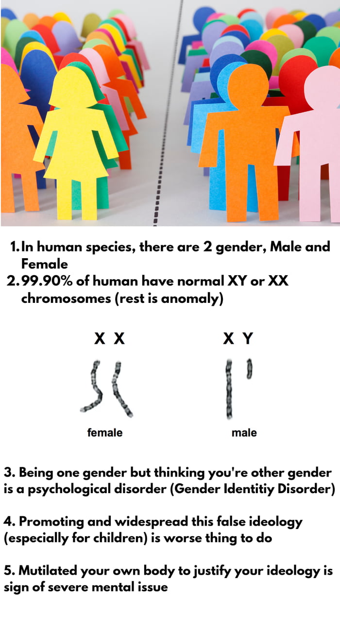 Gender Sex 9gag 