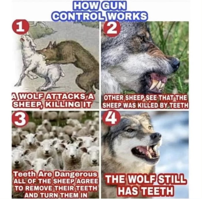 How gun control works. 9GAG