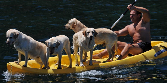 S E A F A R I N G B O Y E S
