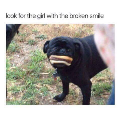 ('◉ 🍔 ◉’)