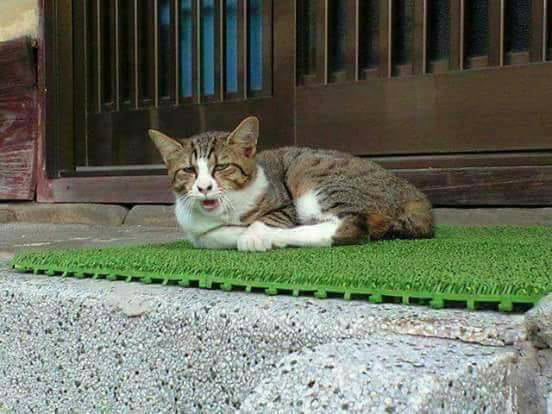 Boring