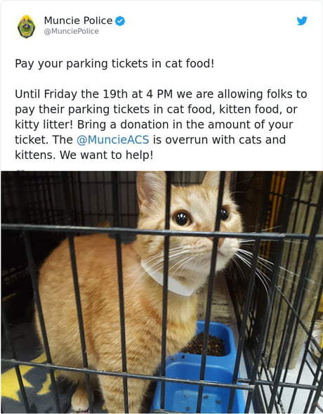 Indiana police Department allowed people to pay off their parking tickets by donating cat food - 9GAG