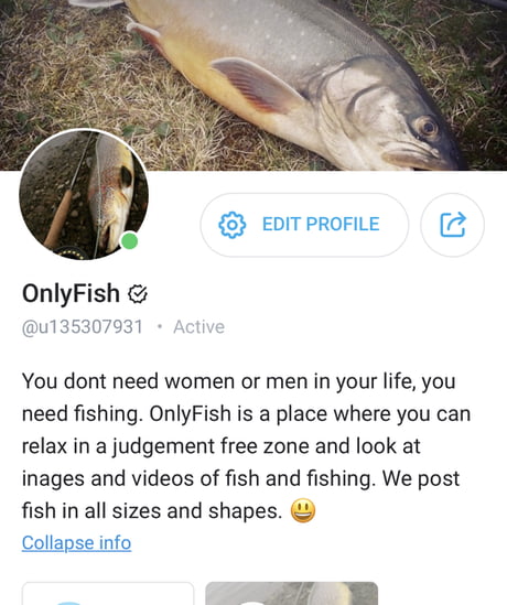 Funny onlyfans accounts