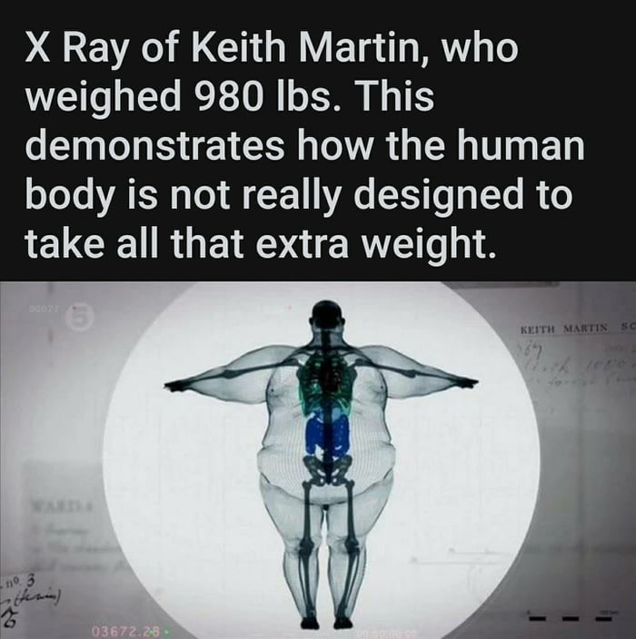 Wonder what 2000 lbs human would look like... - 9GAG