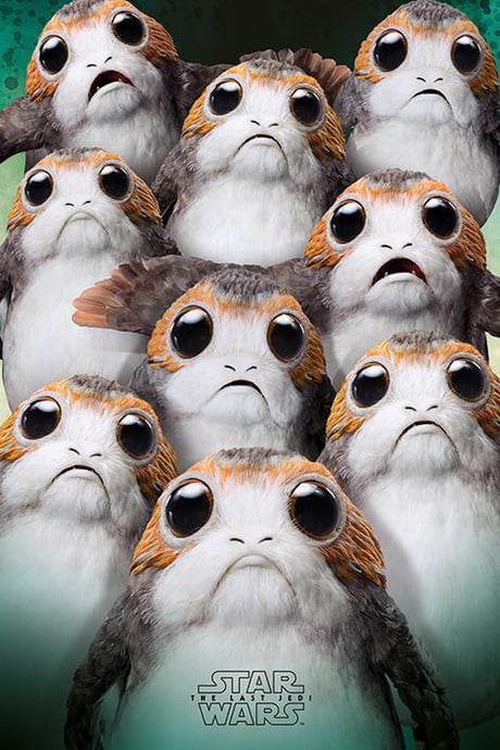 Porgs are officially the cutest creature or thing in the Star Wars ...