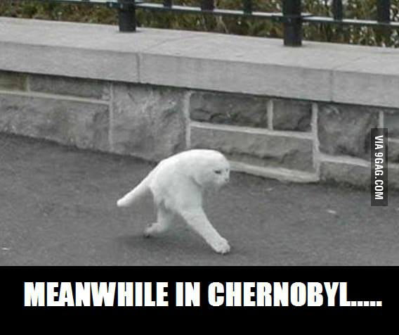 Meanwhile in Chernobyl - 9GAG